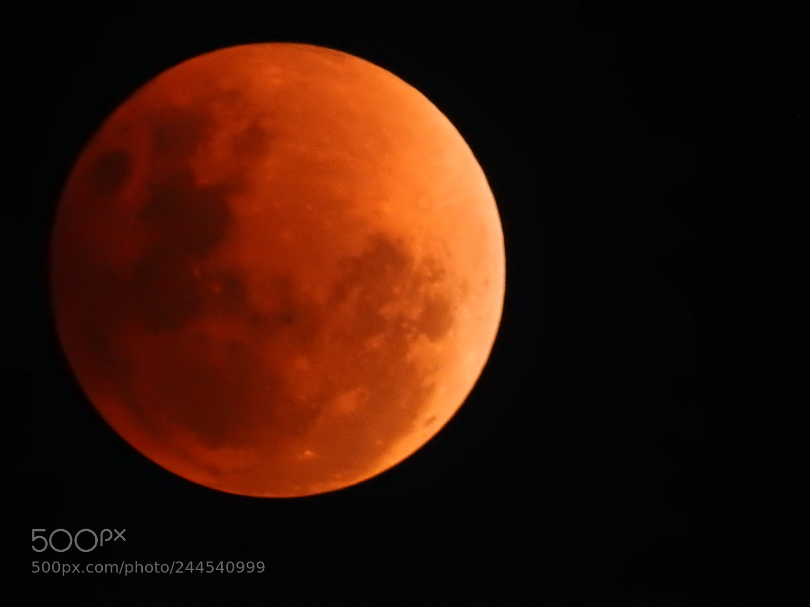 Nikon Coolpix P900 sample photo. Super blue blood moon photography