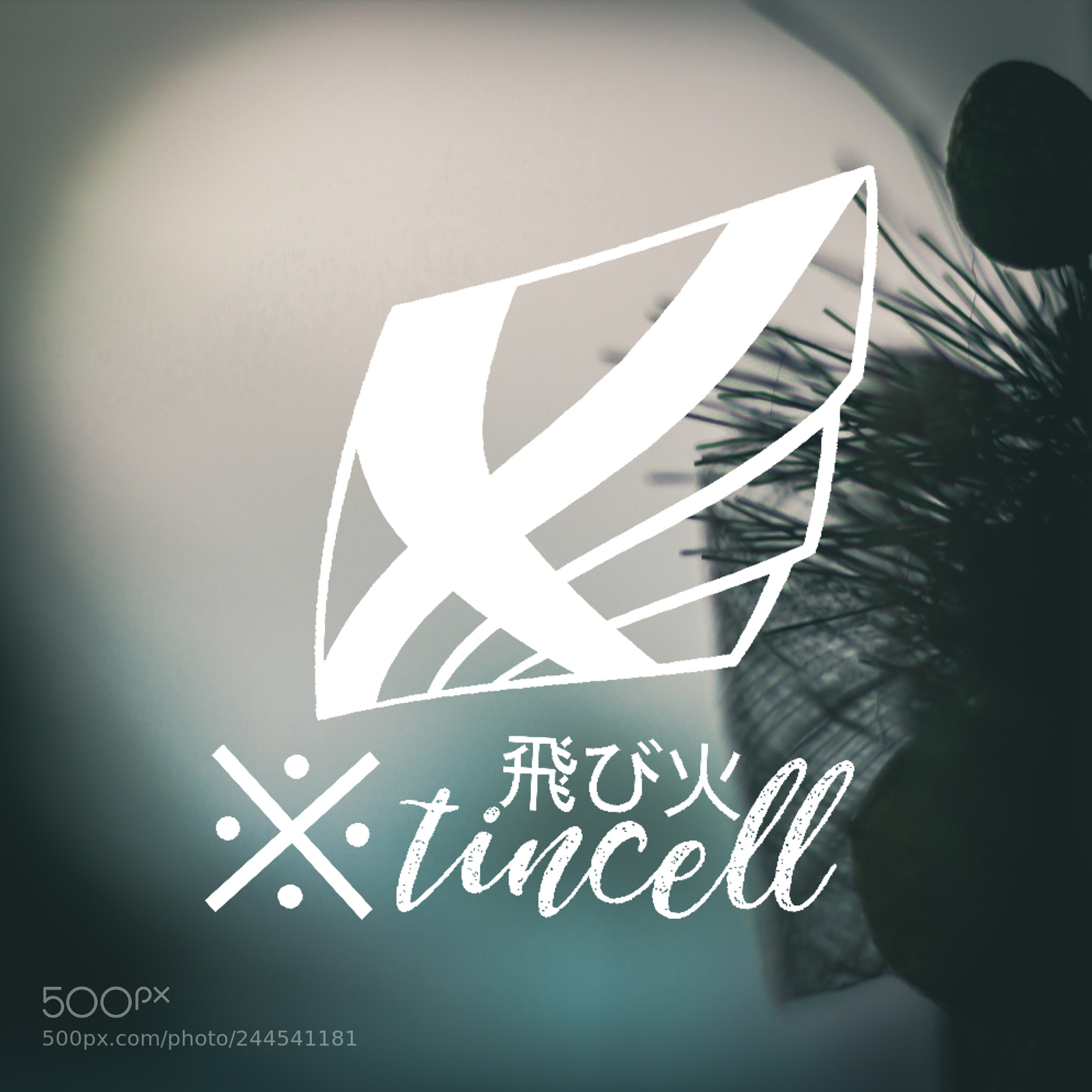 Canon EOS 550D (EOS Rebel T2i / EOS Kiss X4) sample photo. Xtincell logotype photography
