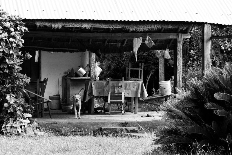 Fujifilm X30 sample photo. Untitled photography