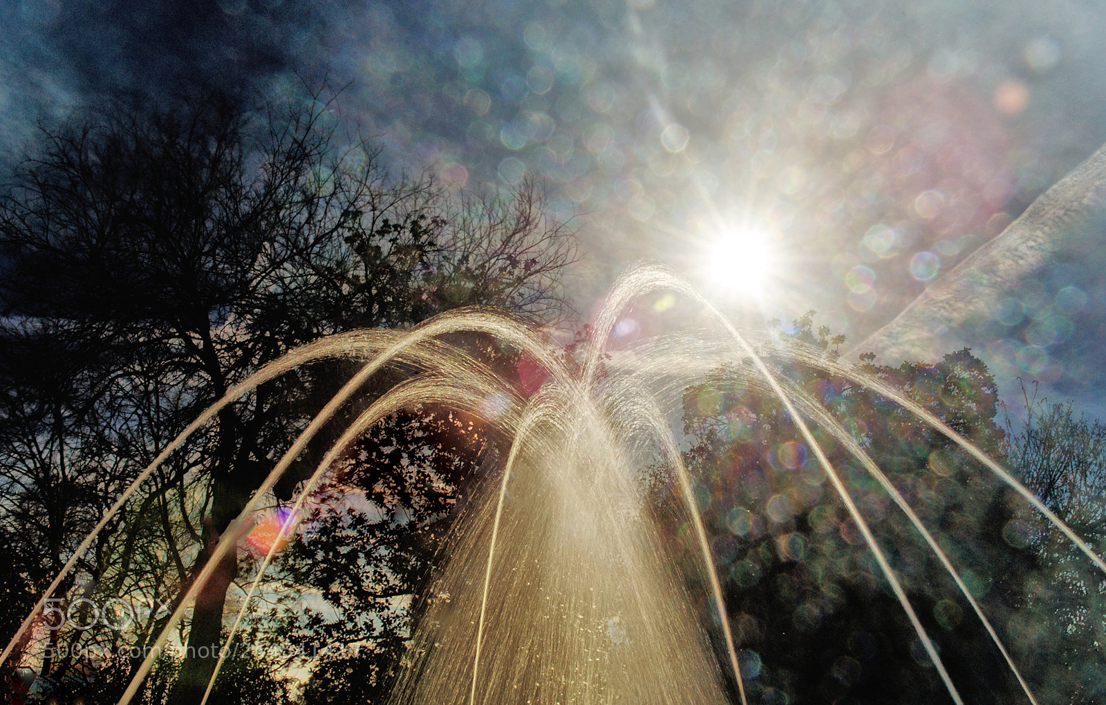 Nikon D700 sample photo. Lens flares!! photography