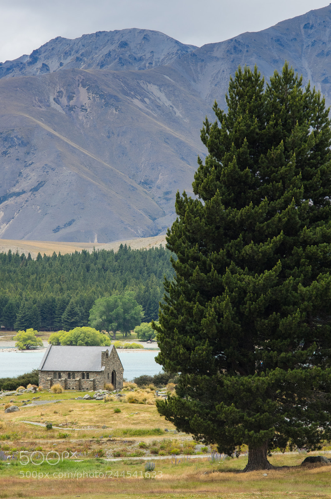 Pentax K-3 sample photo. Tekapo photography