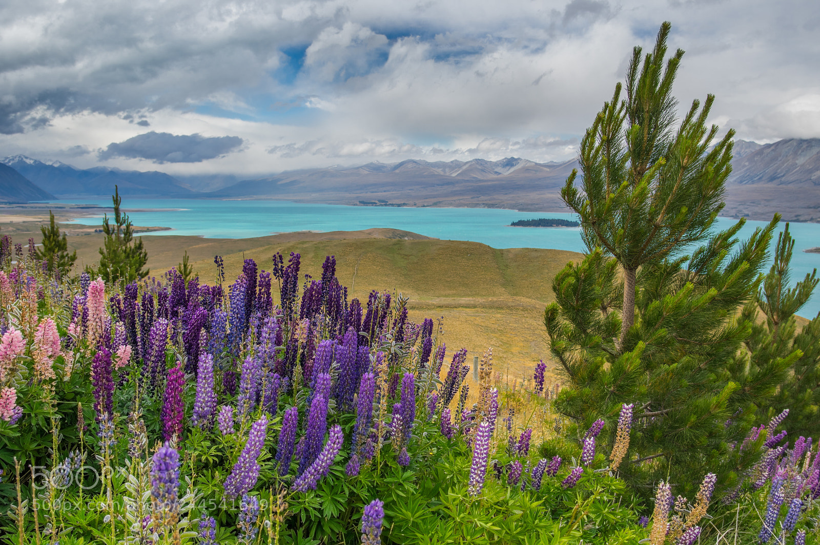 Pentax K-3 sample photo. Tekapo photography