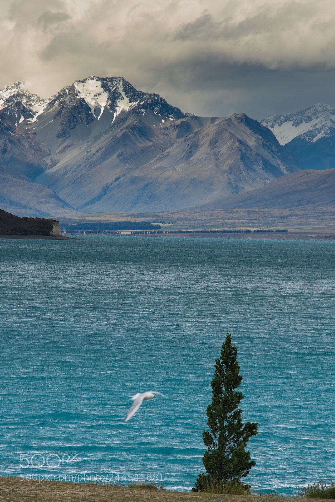 Pentax K-3 sample photo. Tekapo photography
