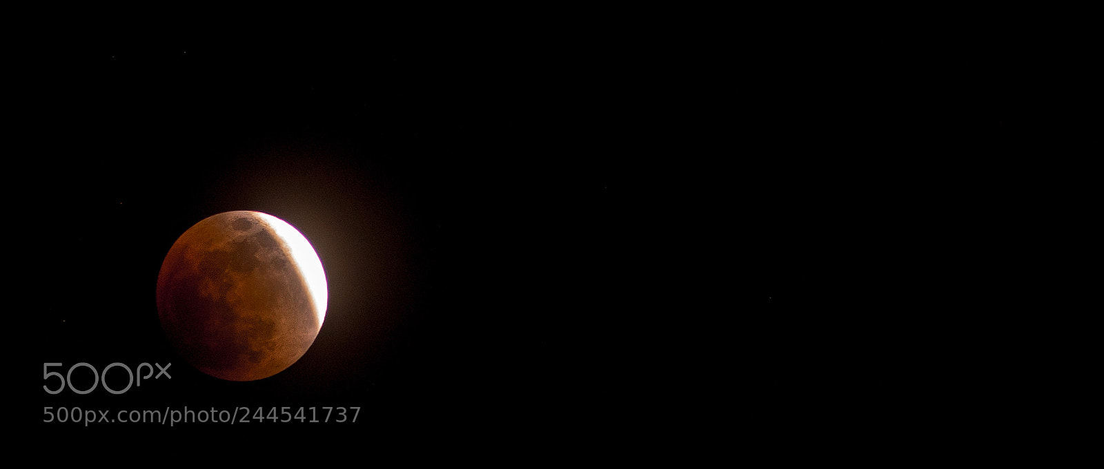 Nikon D810 sample photo. Shadow of earth photography