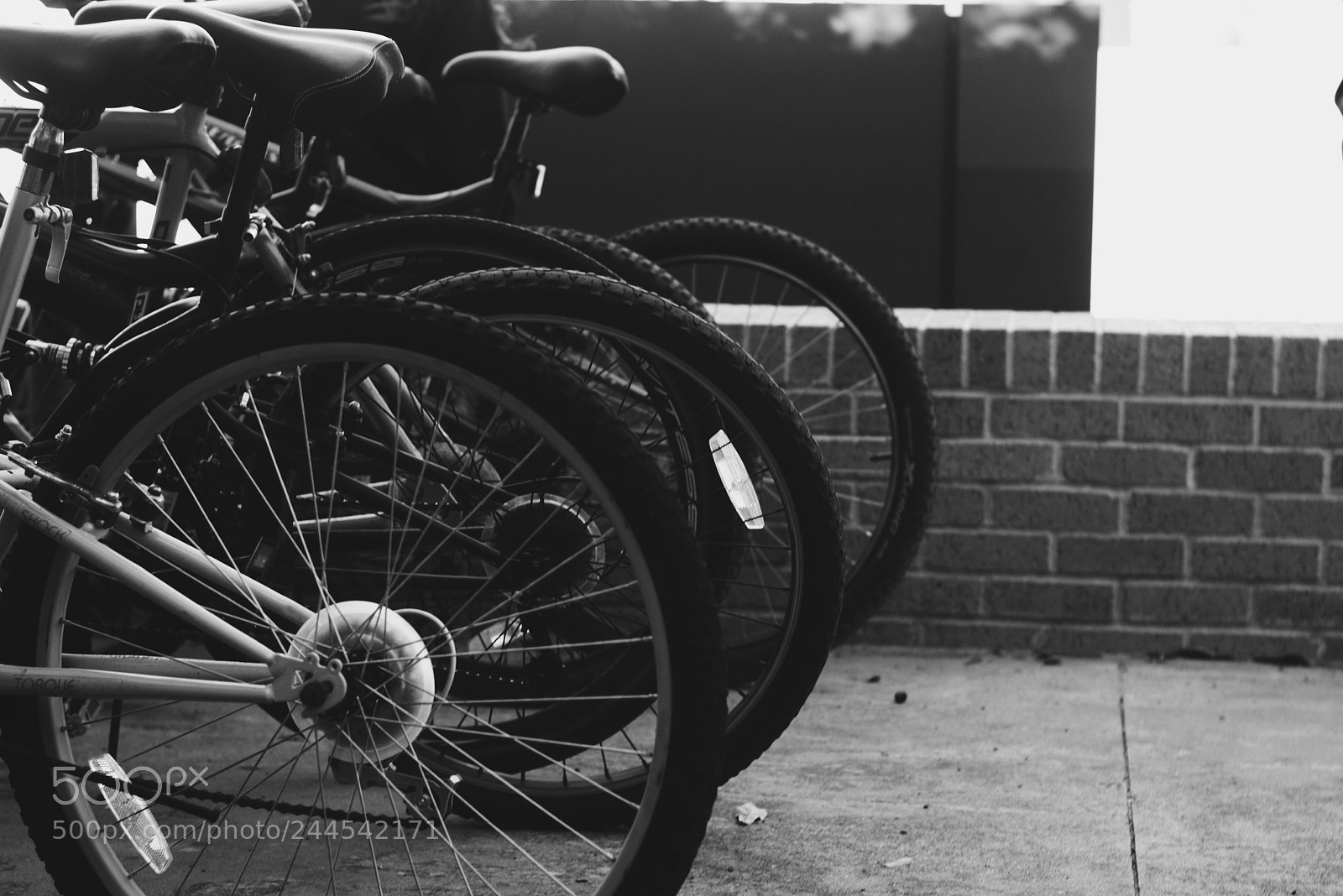 Canon EOS 1200D (EOS Rebel T5 / EOS Kiss X70 / EOS Hi) sample photo. Biking photography