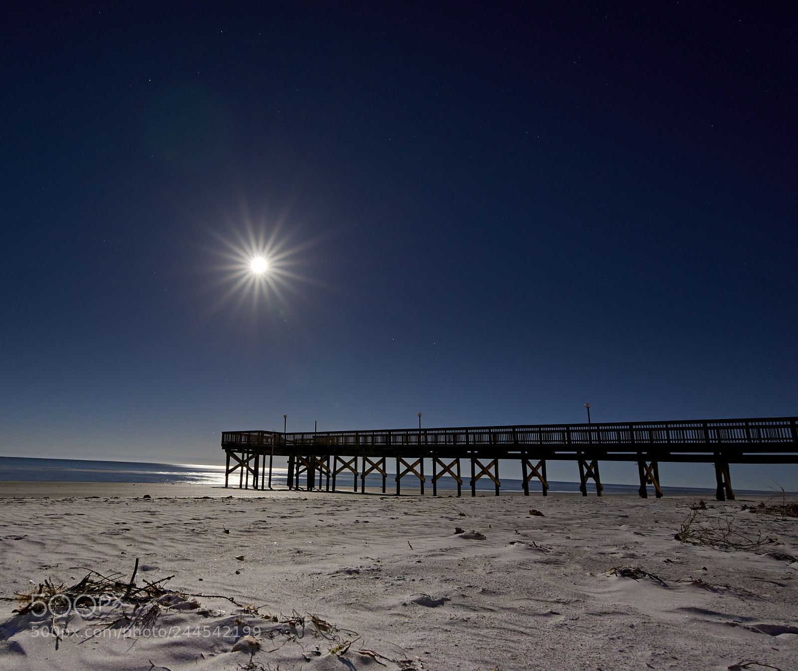 Nikon D800E sample photo. Blue moon photography