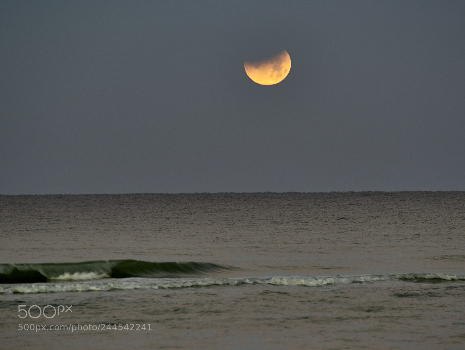 Nikon D800E sample photo. Lunar eclipse photography