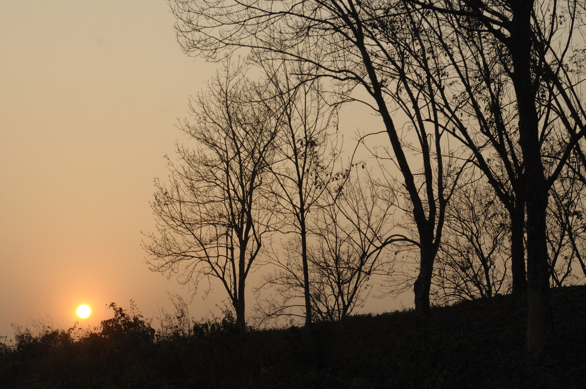Nikon D90 sample photo