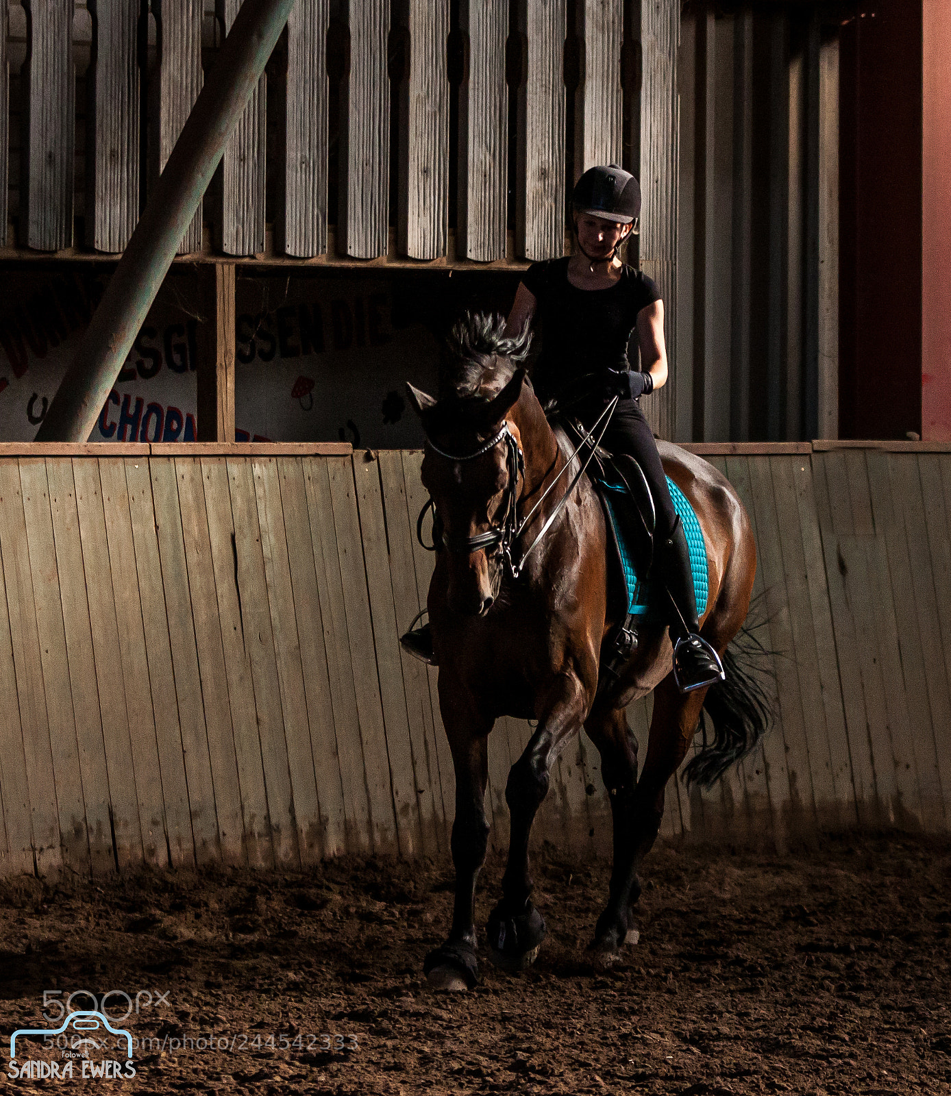 Canon EOS 50D sample photo. Horse sports photography