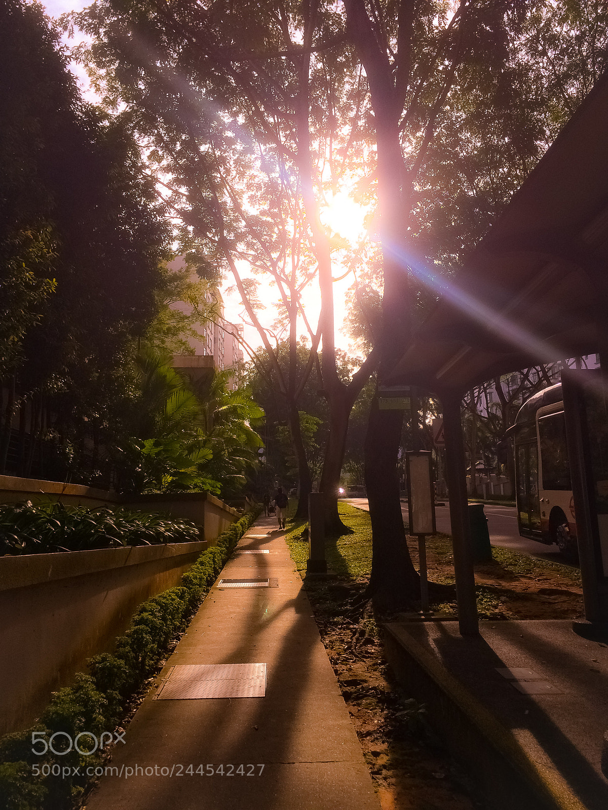 Apple iPhone 5s sample photo. Img photography