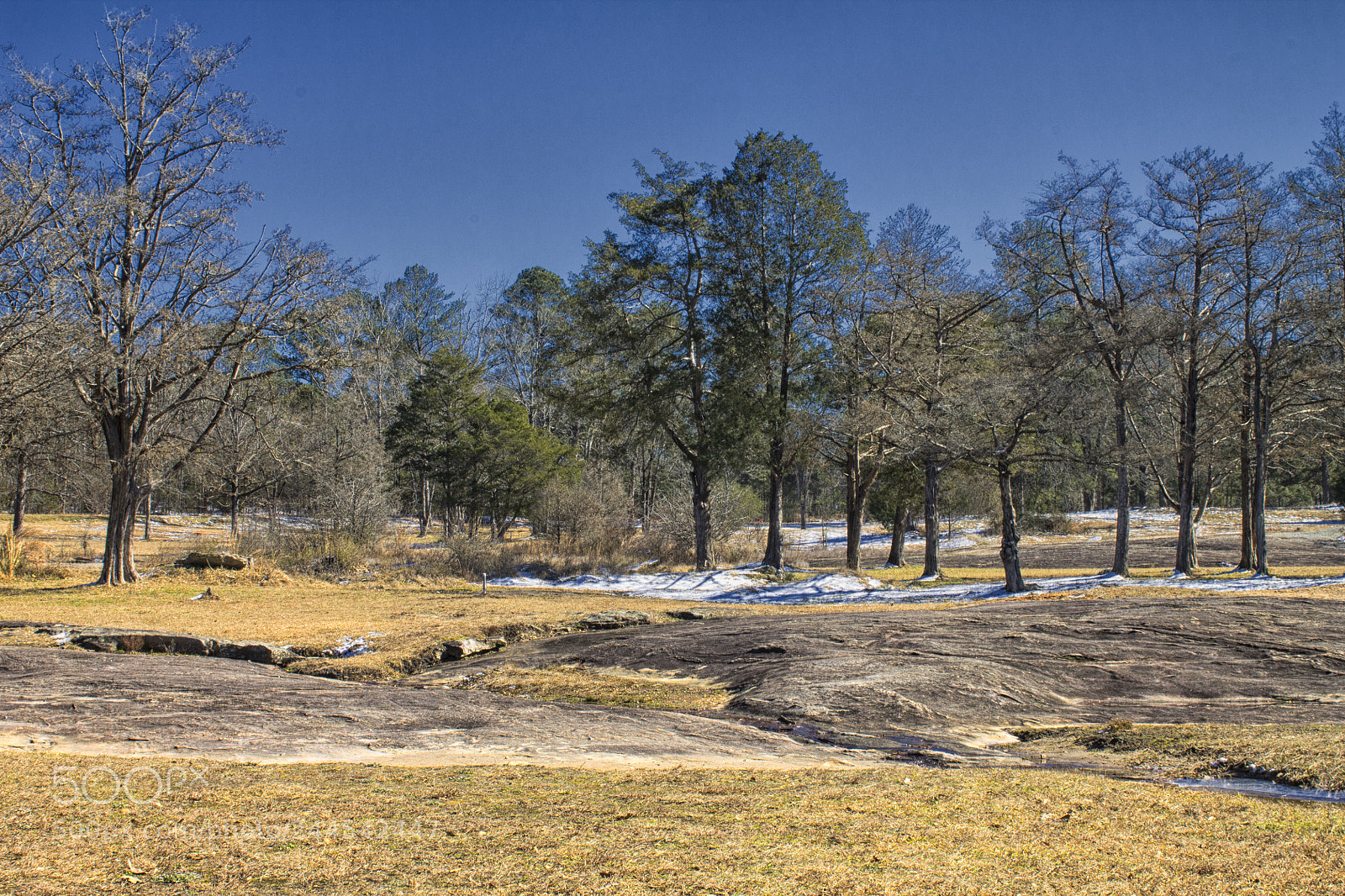 Canon EOS 1100D (EOS Rebel T3 / EOS Kiss X50) sample photo. Trees, snow, and rock photography