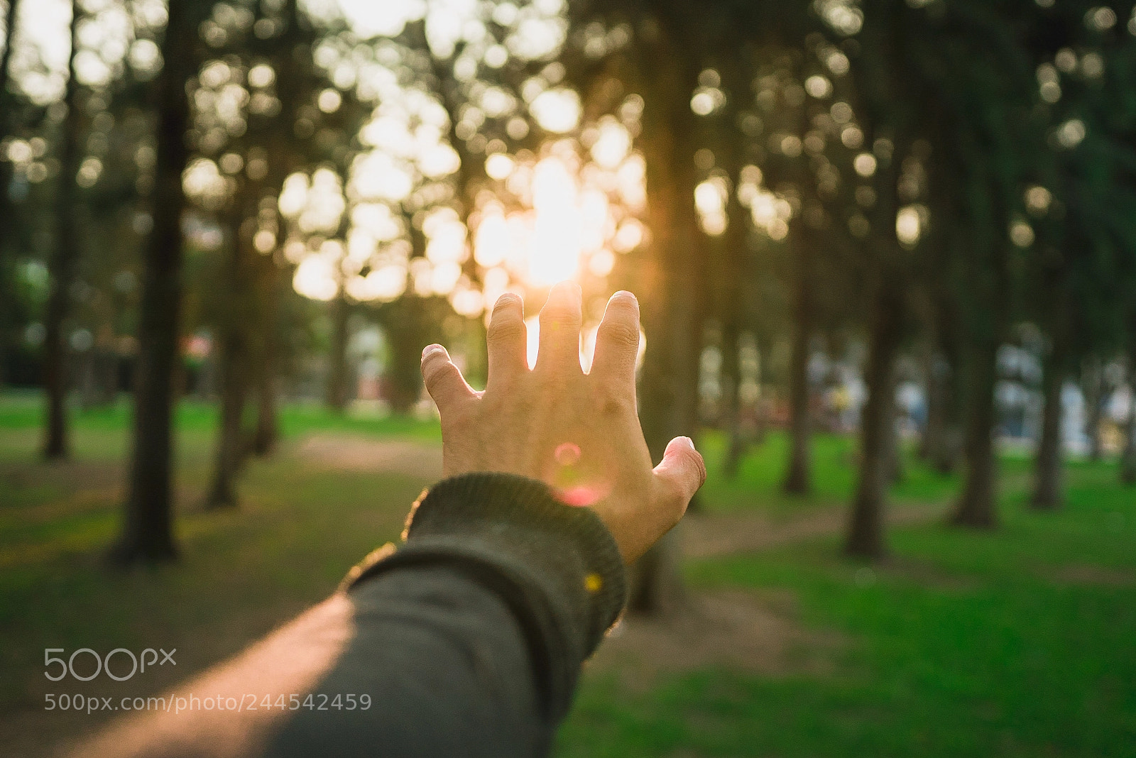Sony a7S II sample photo. Carlos photography