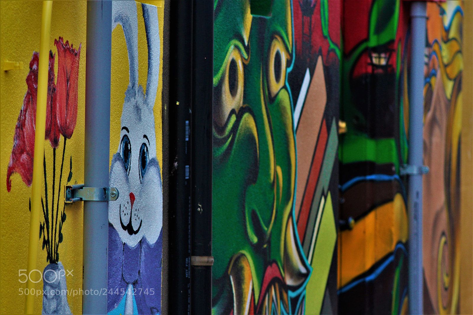 Canon EOS 1200D (EOS Rebel T5 / EOS Kiss X70 / EOS Hi) sample photo. () photography