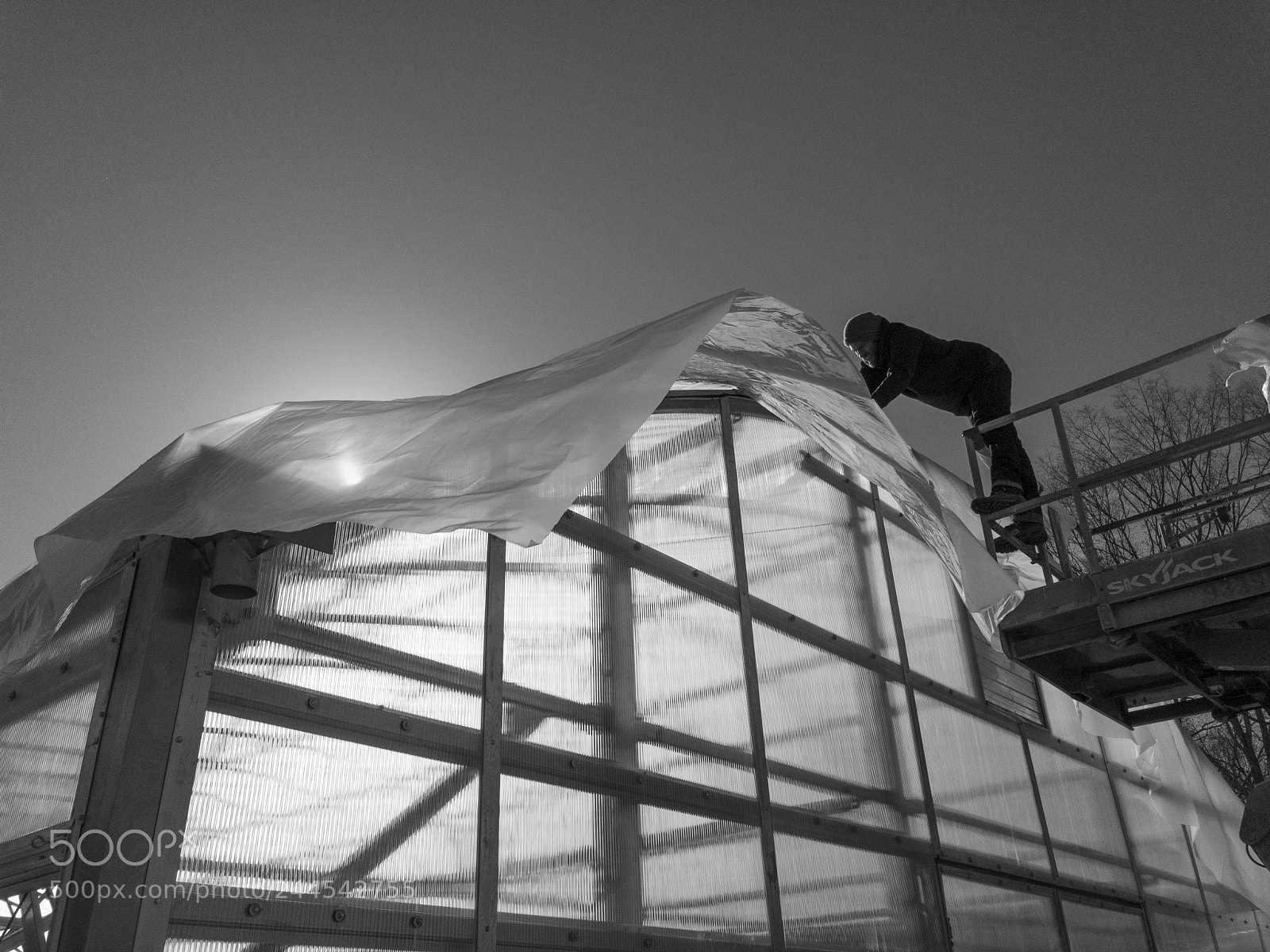 Apple iPhone 8 Plus sample photo. Assembling a greenhouse photography