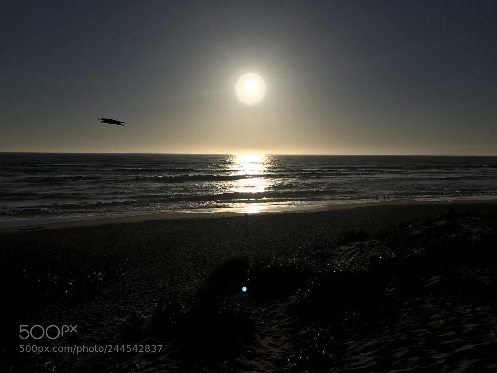 Apple iPhone 7 sample photo. Ocean beach. san francisco photography