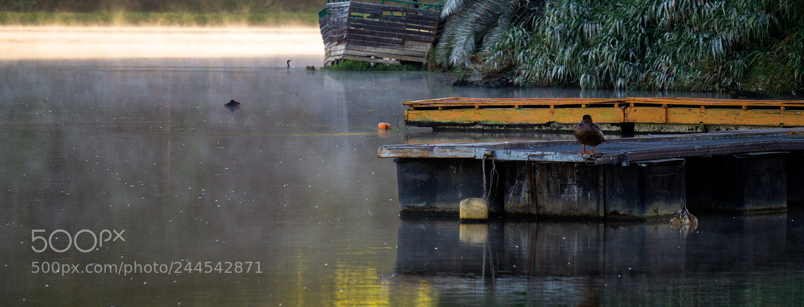 Sony Alpha a5000 (ILCE 5000) sample photo. Un d a en photography