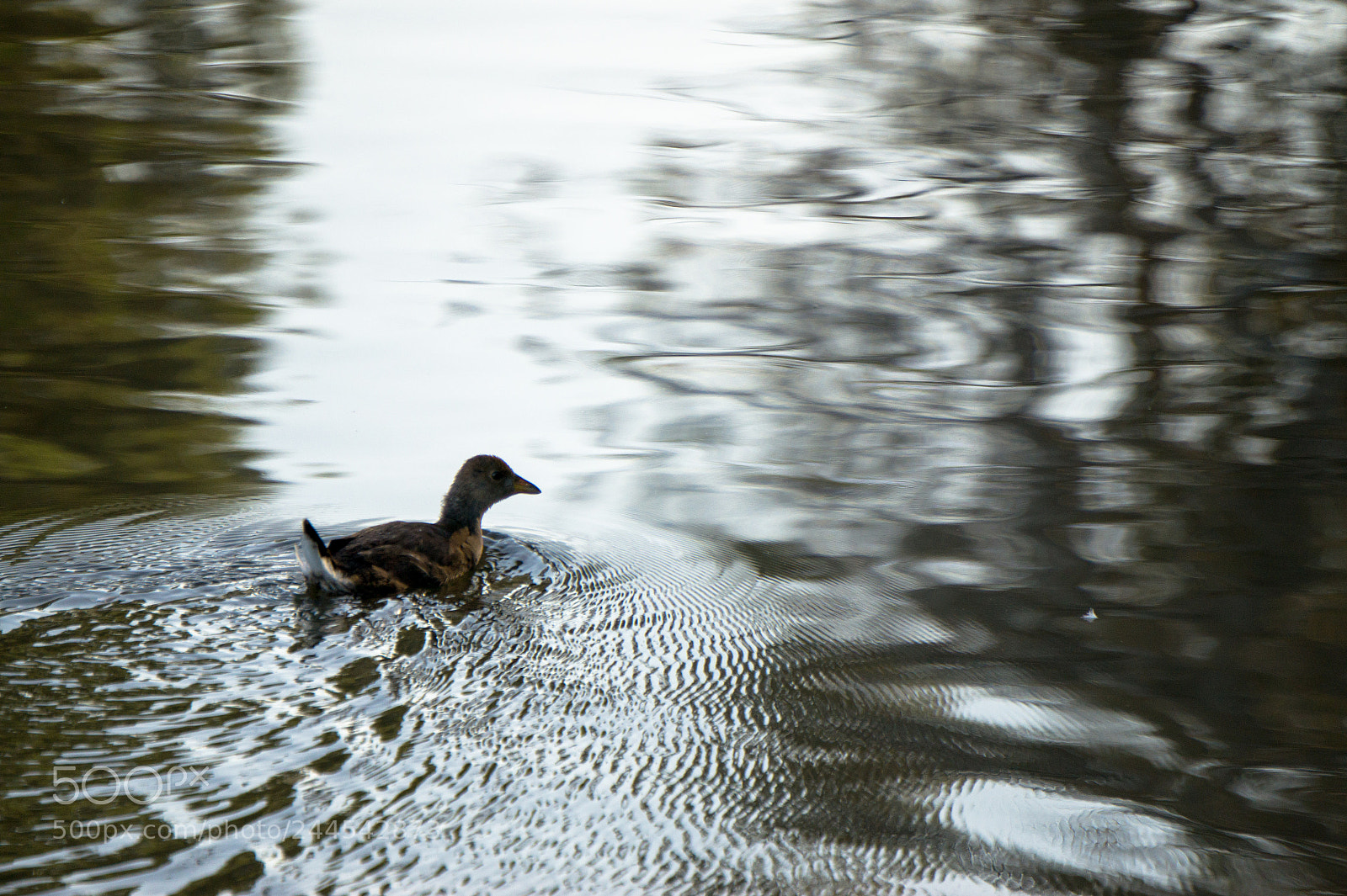 Sony Alpha a5000 (ILCE 5000) sample photo. Un d a en photography