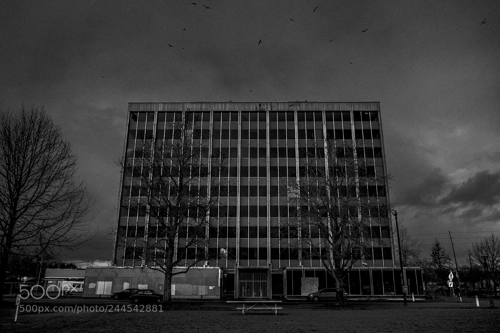 Fujifilm X-T2 sample photo. Untitled photography
