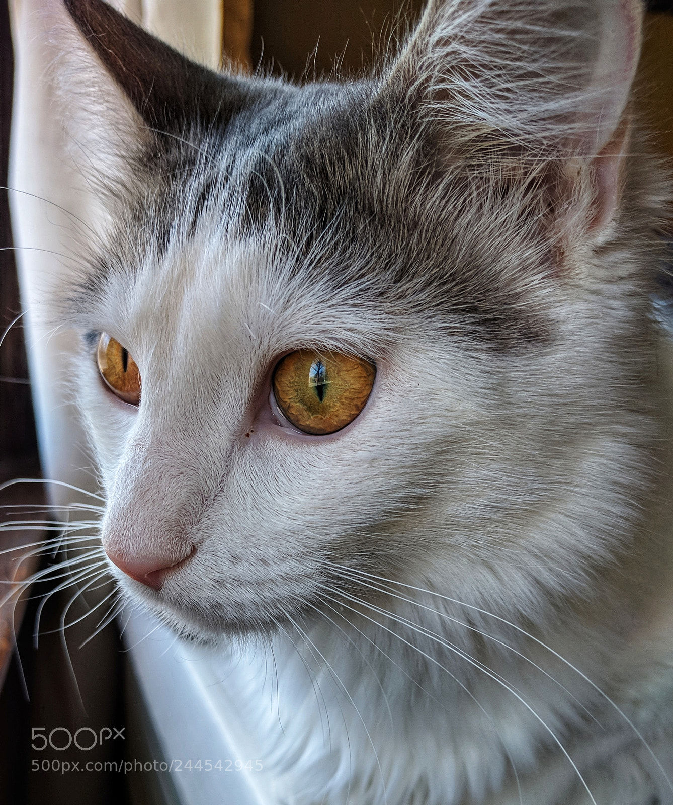 Google Nexus 6P sample photo. Interested photography