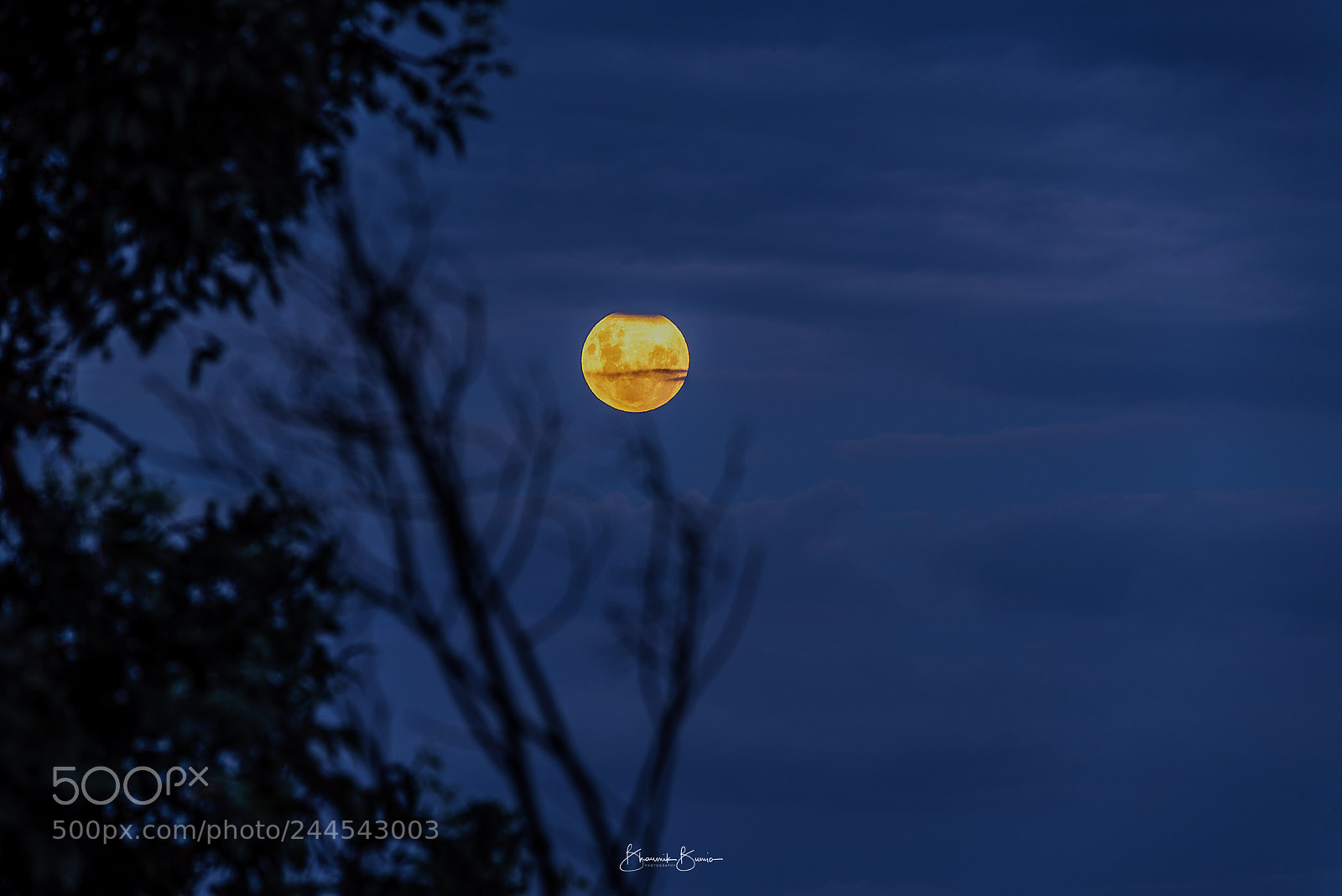 Nikon D810 sample photo. Super moon 31.01.2018 photography