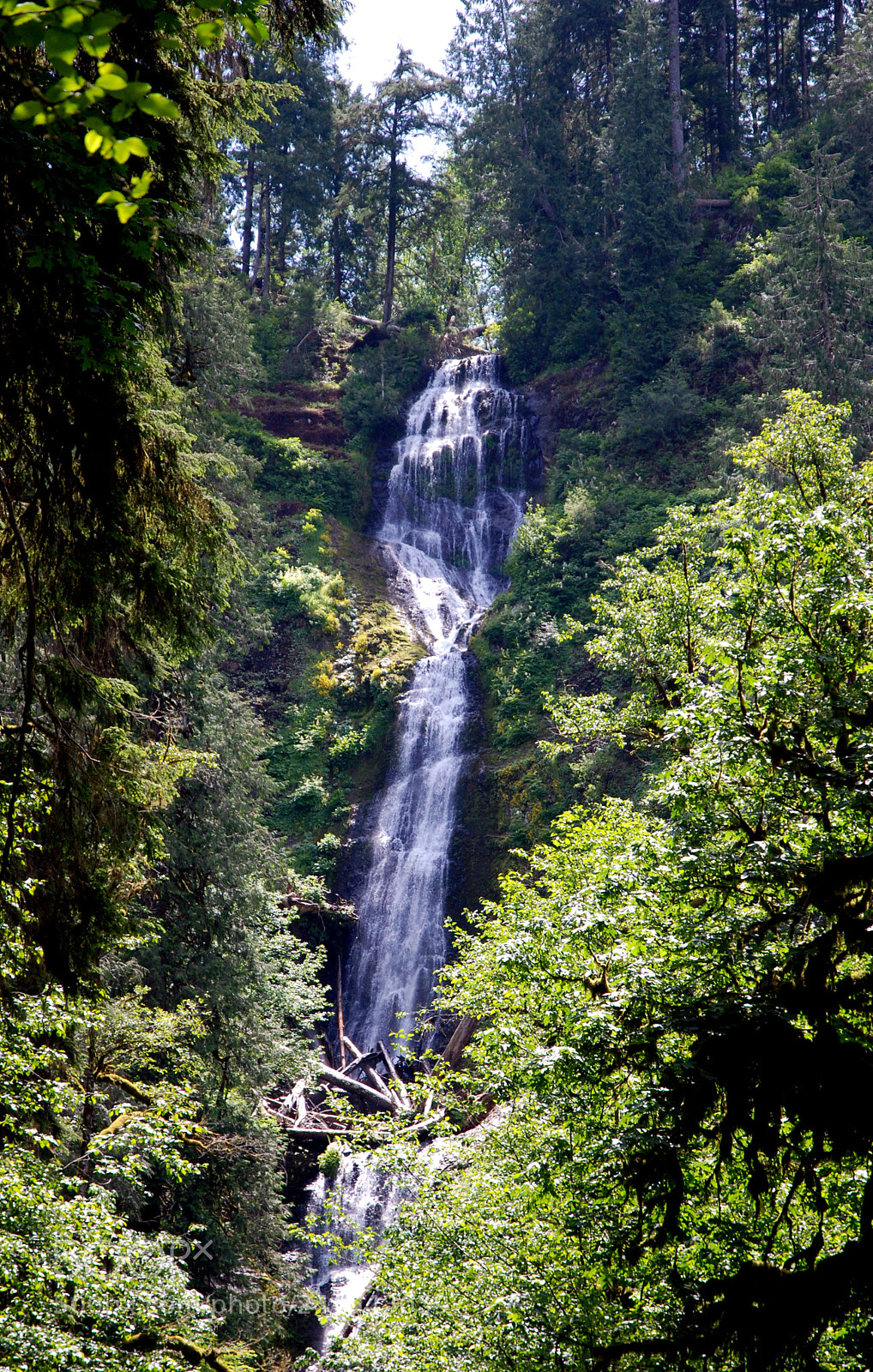 Nikon D80 sample photo. Waterfall photography