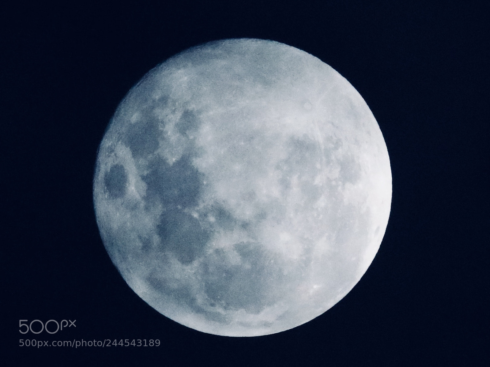 Canon EOS 760D (EOS Rebel T6s / EOS 8000D) sample photo. Blue supermoon tonight photography