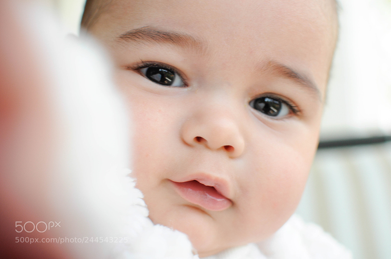 Nikon D90 sample photo. Untitled photography