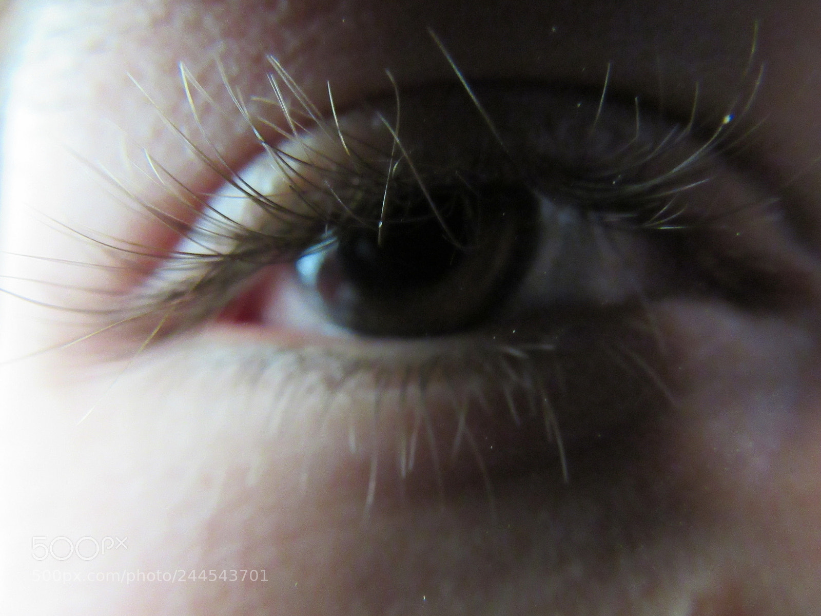 Canon PowerShot SX530 HS sample photo. Look inside photography