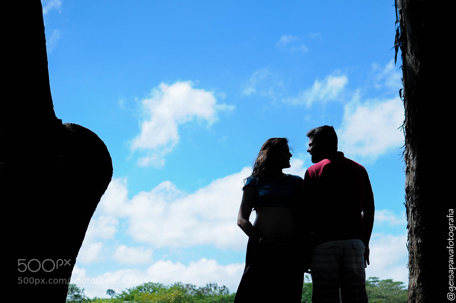 Nikon D90 sample photo. Untitled photography