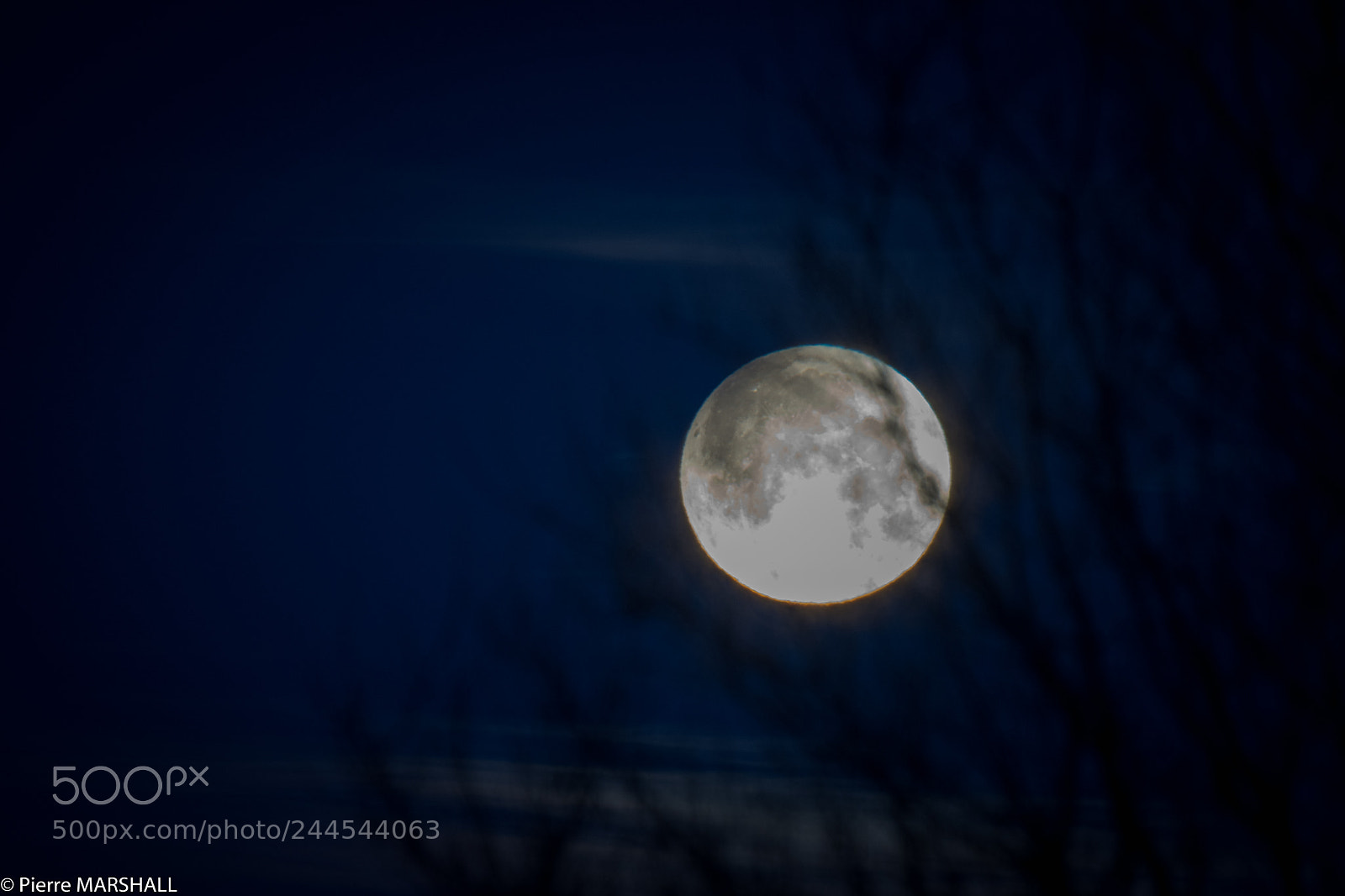 Nikon D500 sample photo. Super blue blood moon photography