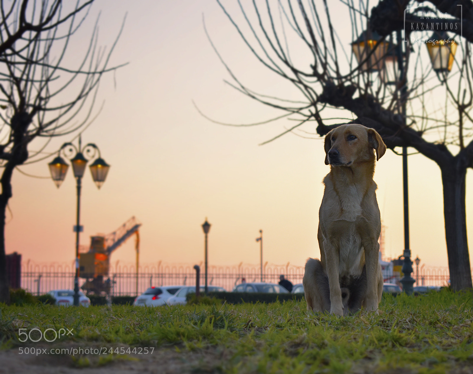 Nikon D3400 sample photo. Hey ppl... photography