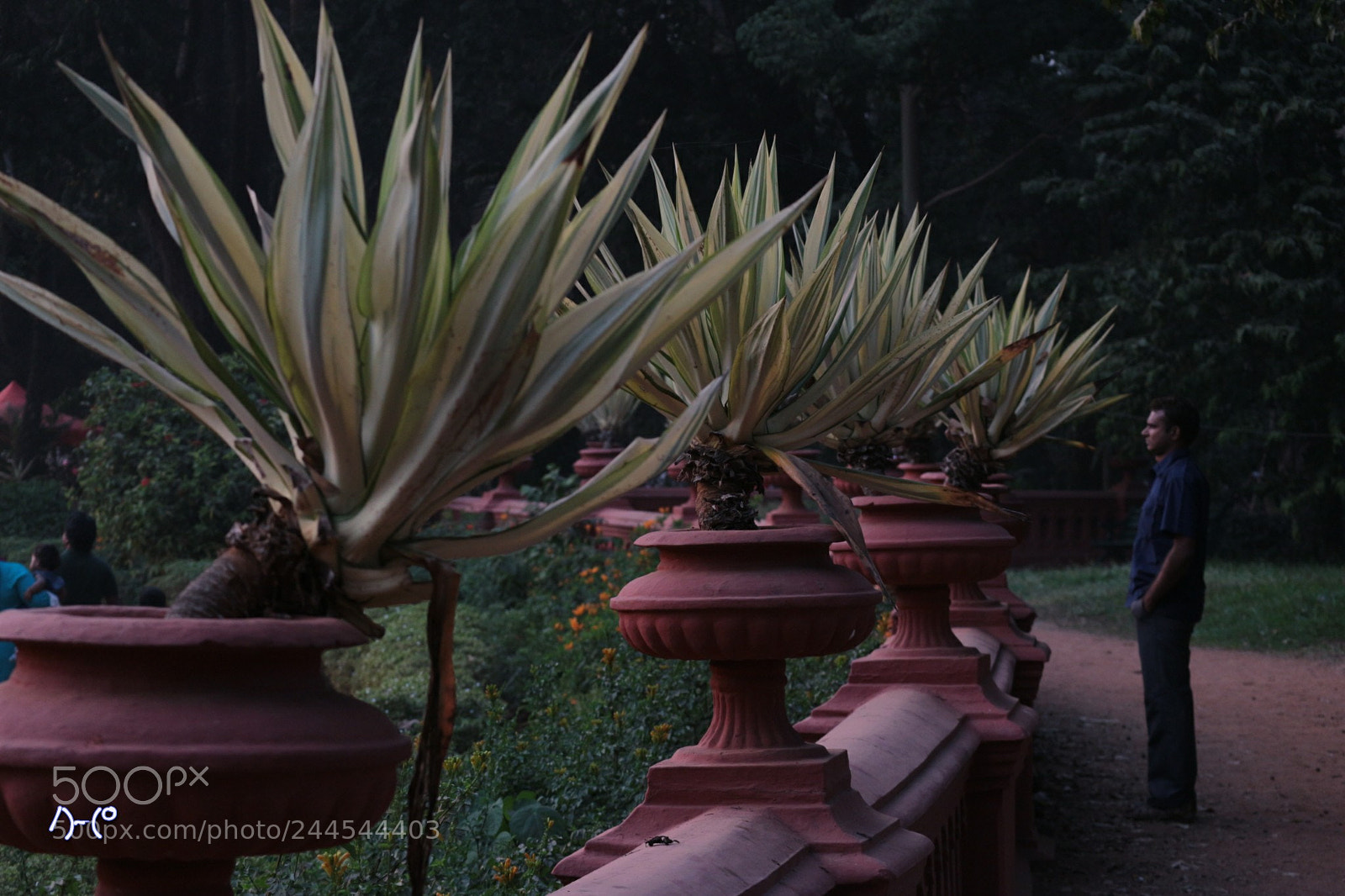 Canon EOS M10 sample photo. Reflect upon photography