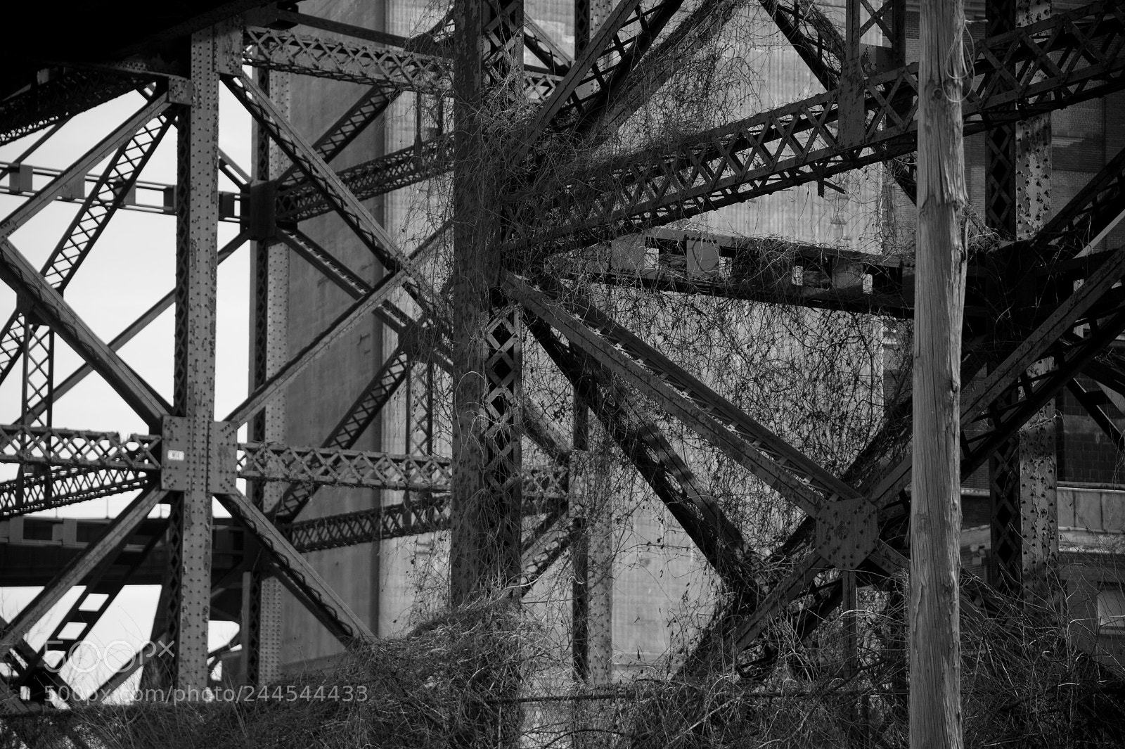 Nikon Df sample photo. Steel & concrete photography