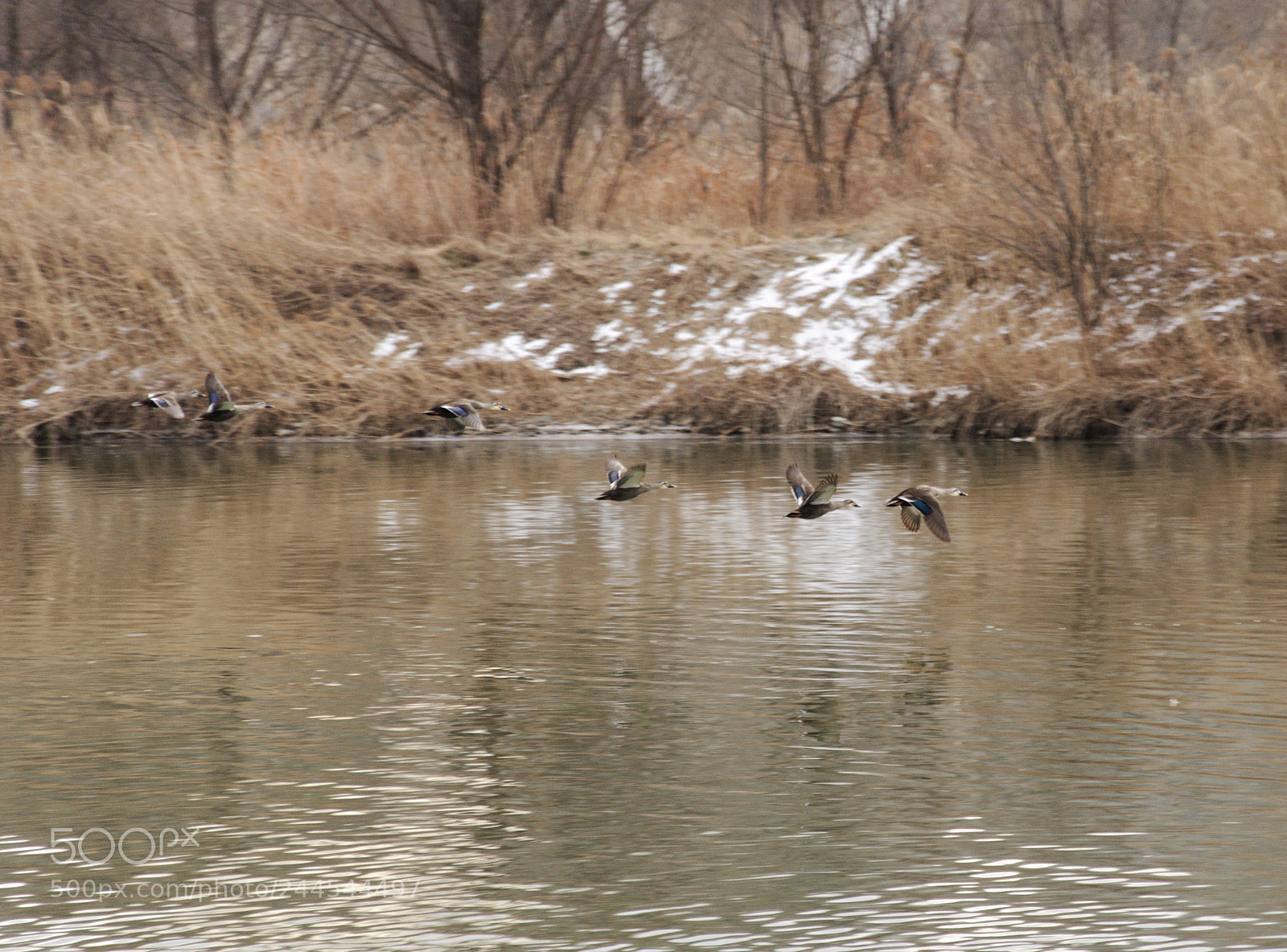 Nikon D90 sample photo. Run photography