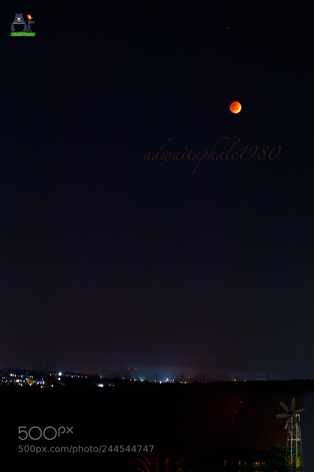Nikon D5 sample photo. Earth and the red photography