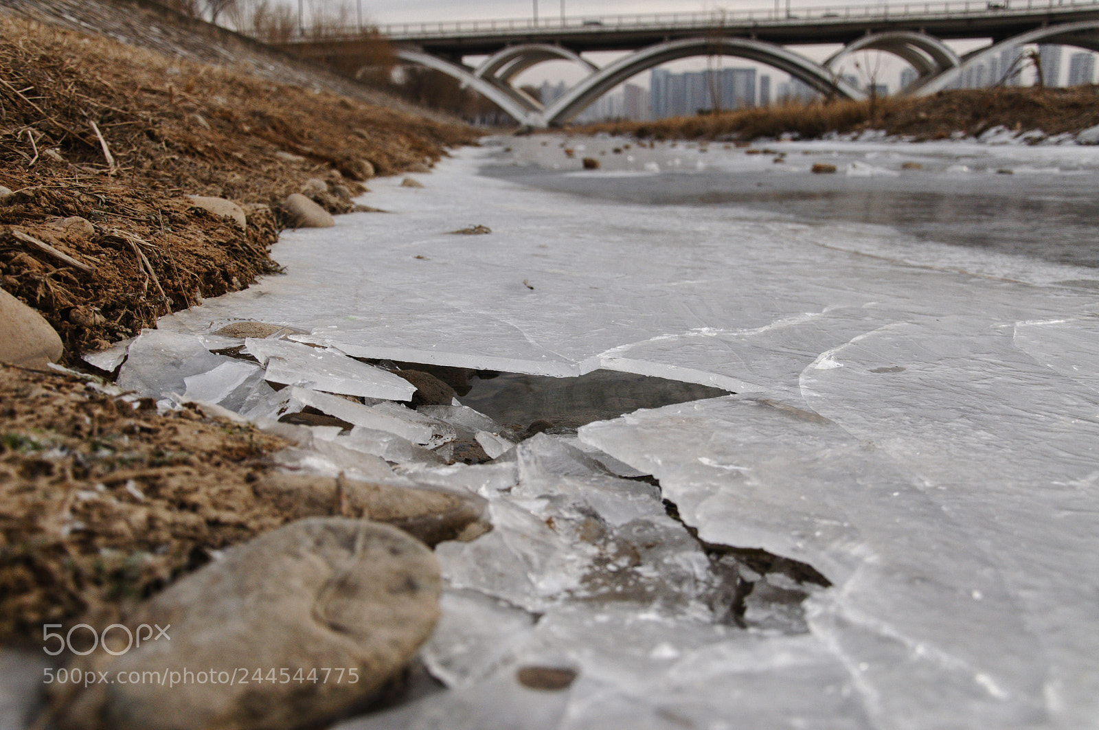 Nikon D90 sample photo. Ice photography