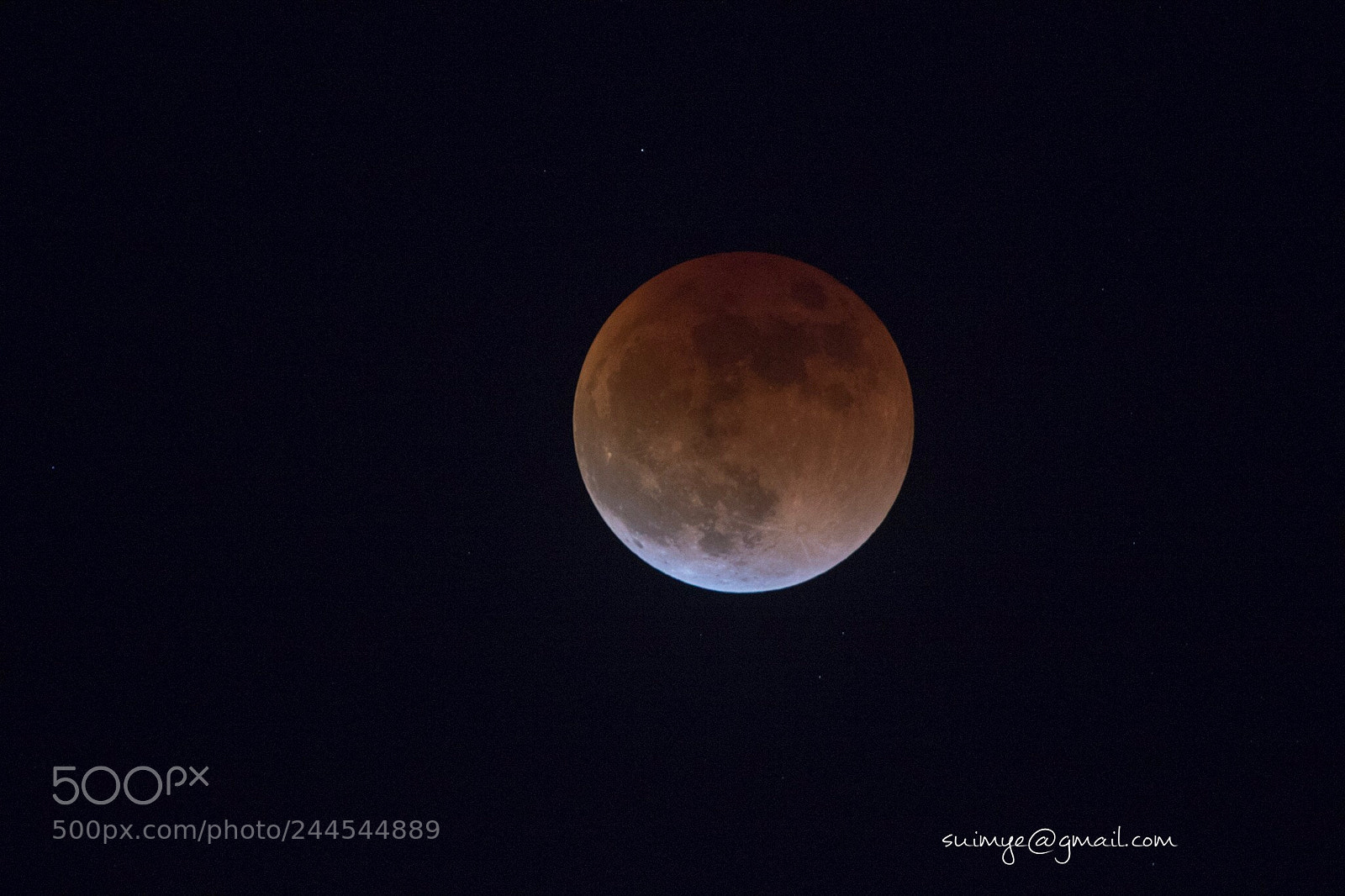 Canon EOS 7D Mark II sample photo. Untitled photography
