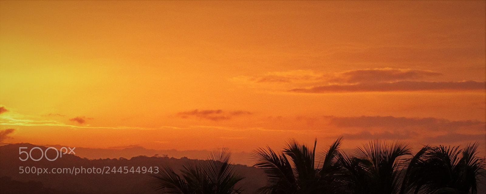 Sony Cyber-shot DSC-HX300 sample photo. At the end of photography