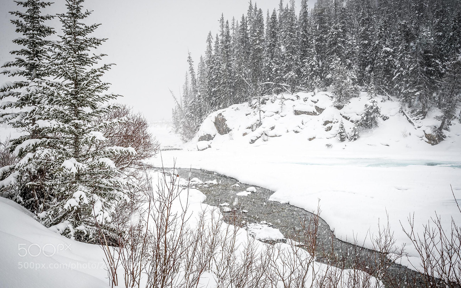 Nikon D500 sample photo. Jasper creek photography