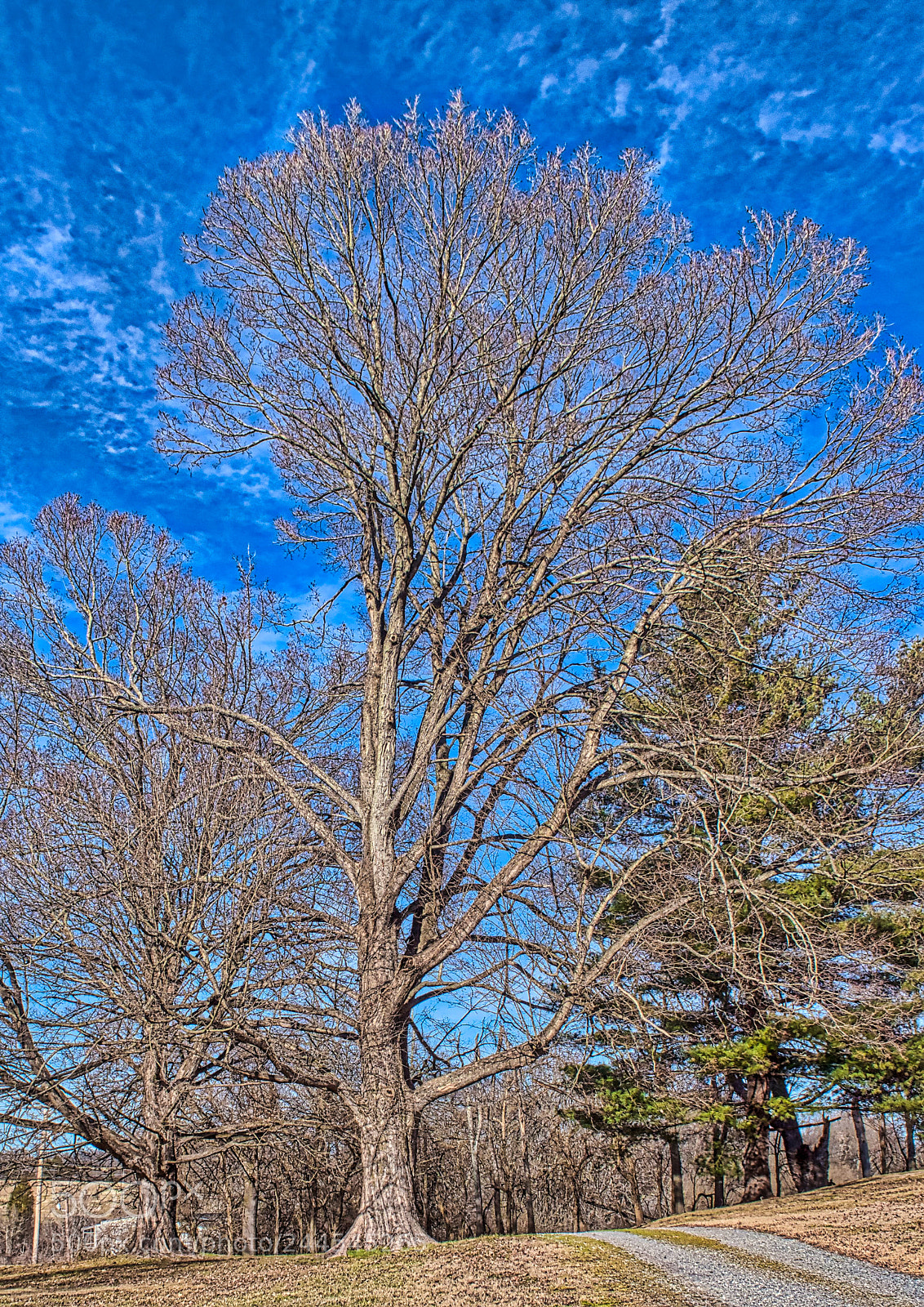 Nikon D5500 sample photo. Glenmore photography