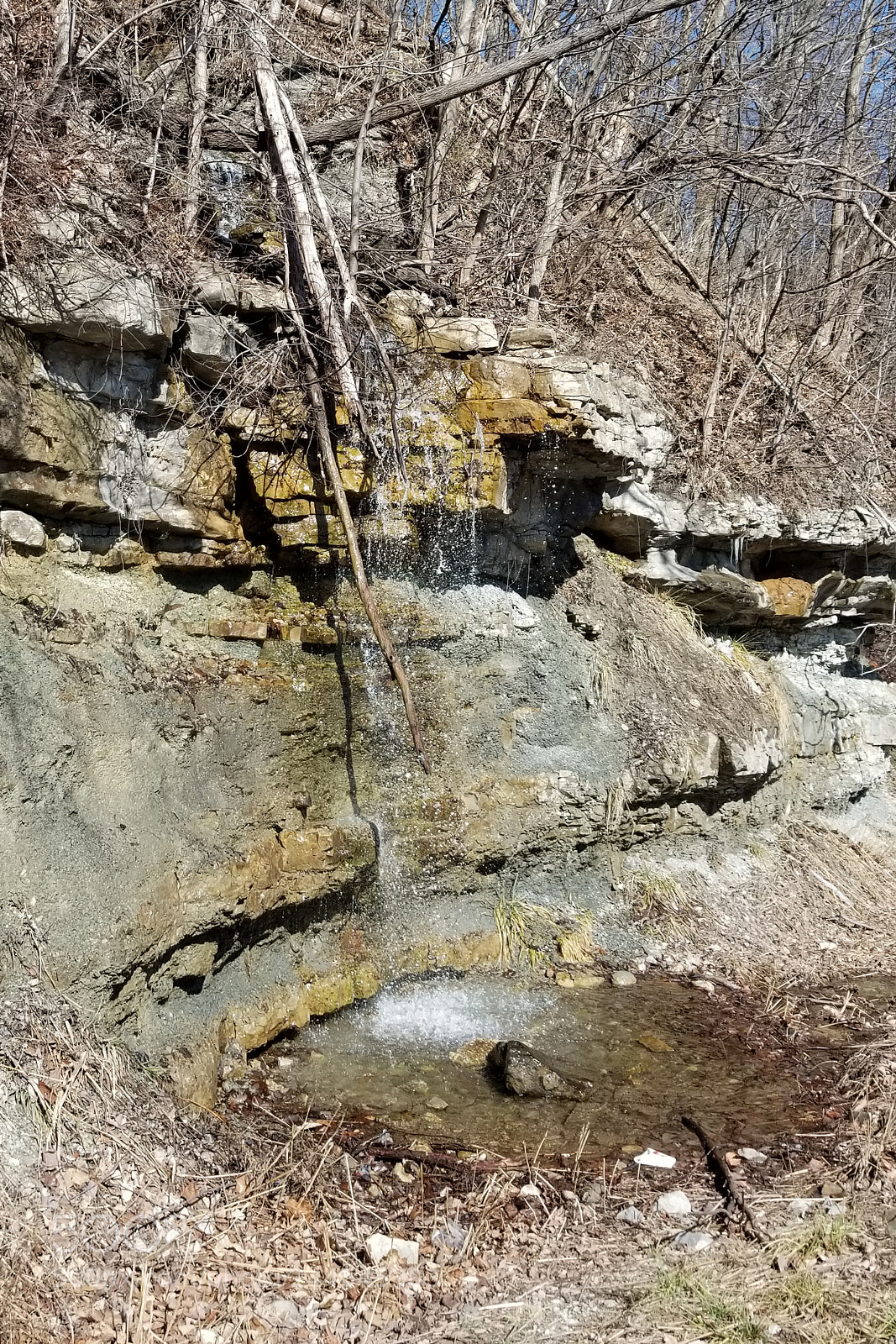 Samsung Galaxy S8+ sample photo. Tennessee waterfall photography
