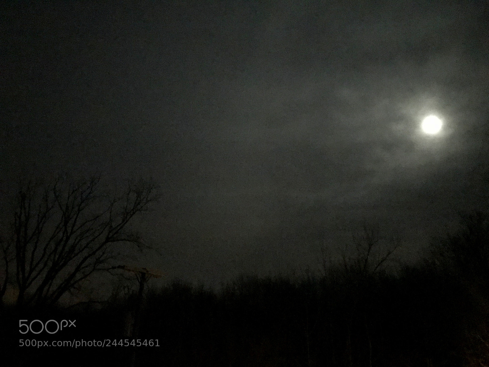 Apple iPhone 7 Plus sample photo. Super blue blood moon photography