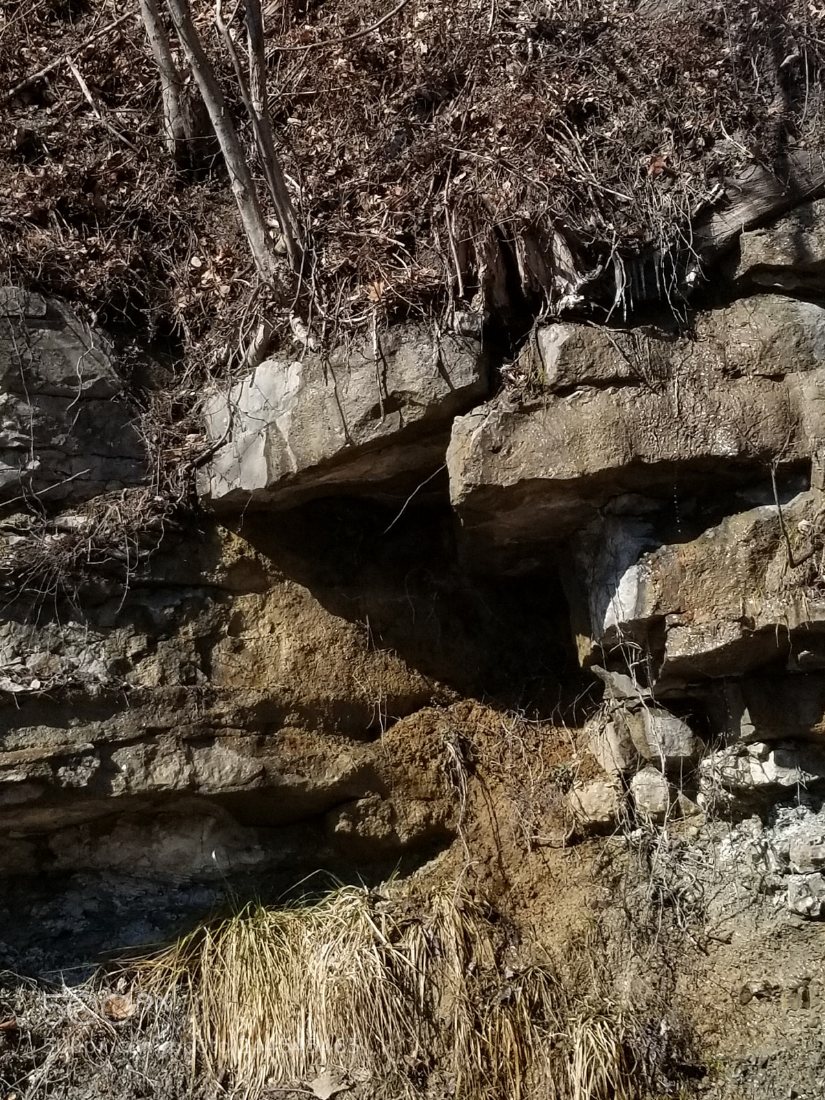 Samsung Galaxy S8+ sample photo. Tennessee mountains photography