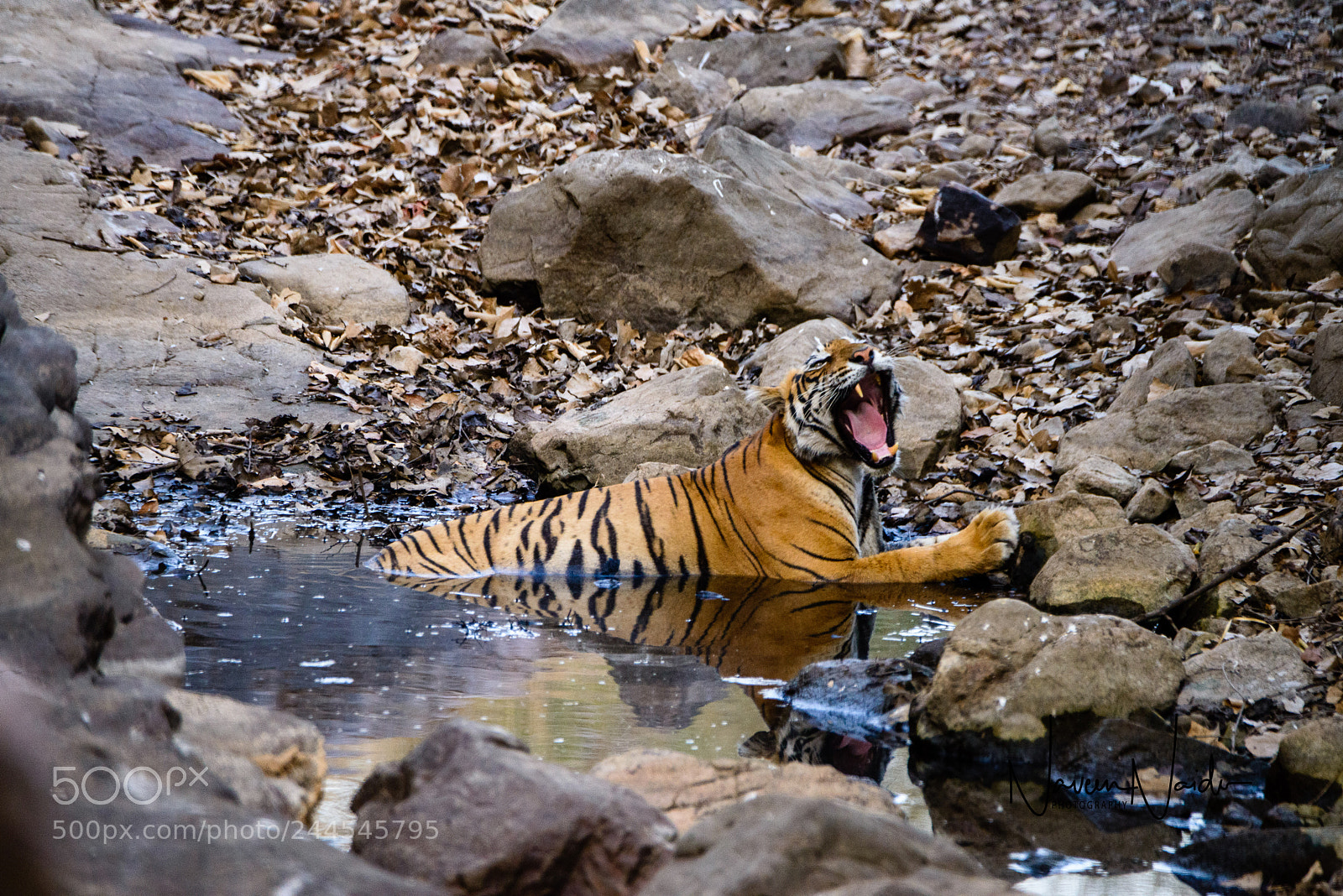 Nikon D800 sample photo. Cooling photography