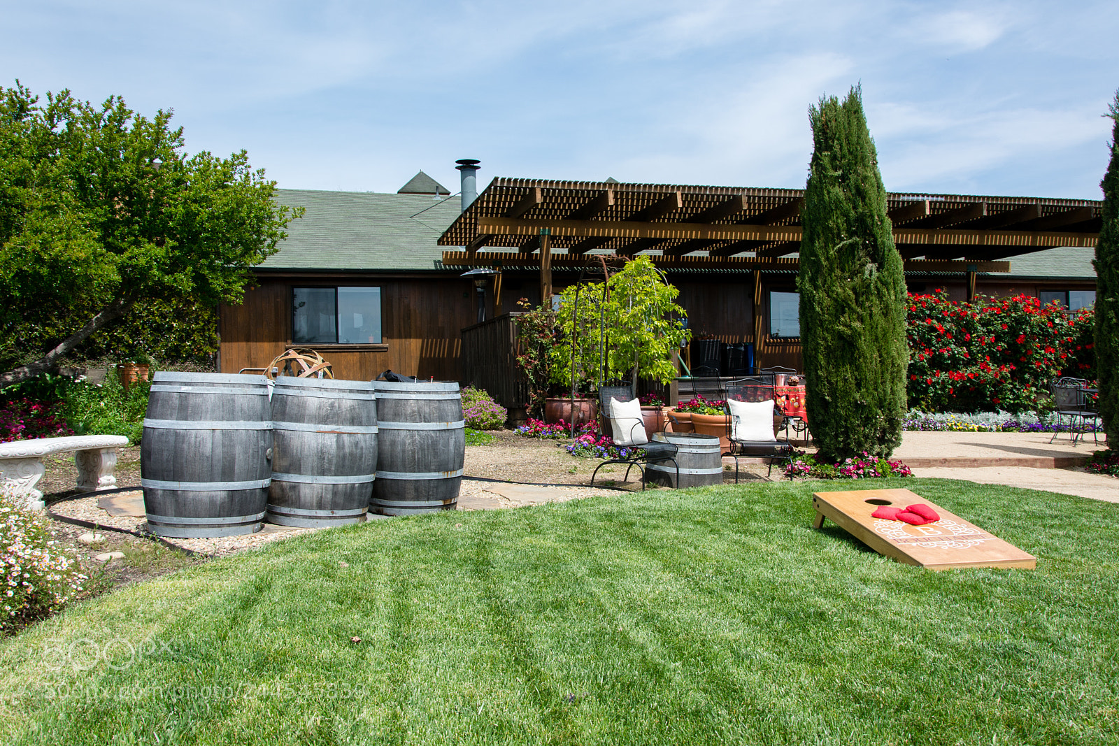 Nikon D7100 sample photo. Buchaine vineyards photography