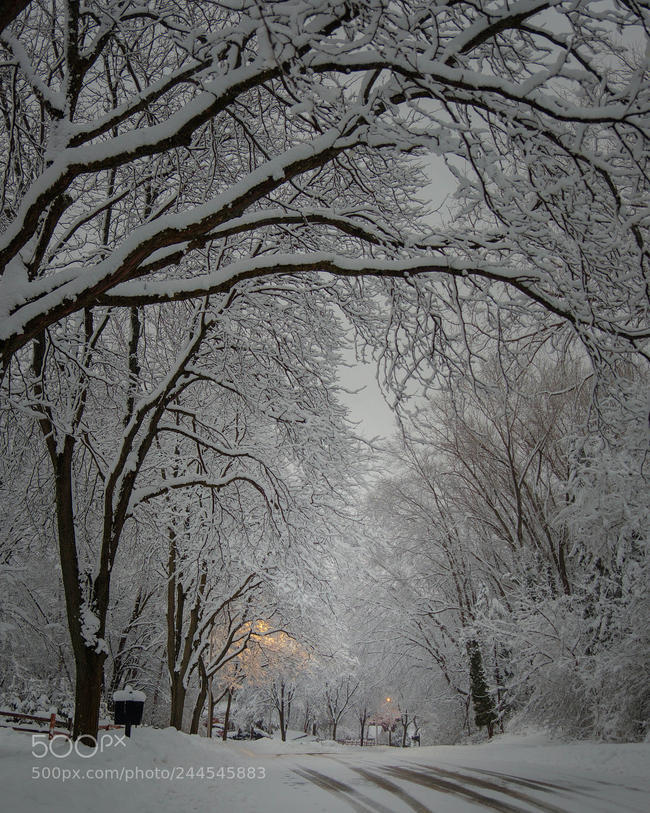 Fujifilm X-T2 sample photo. Fresh snow photography