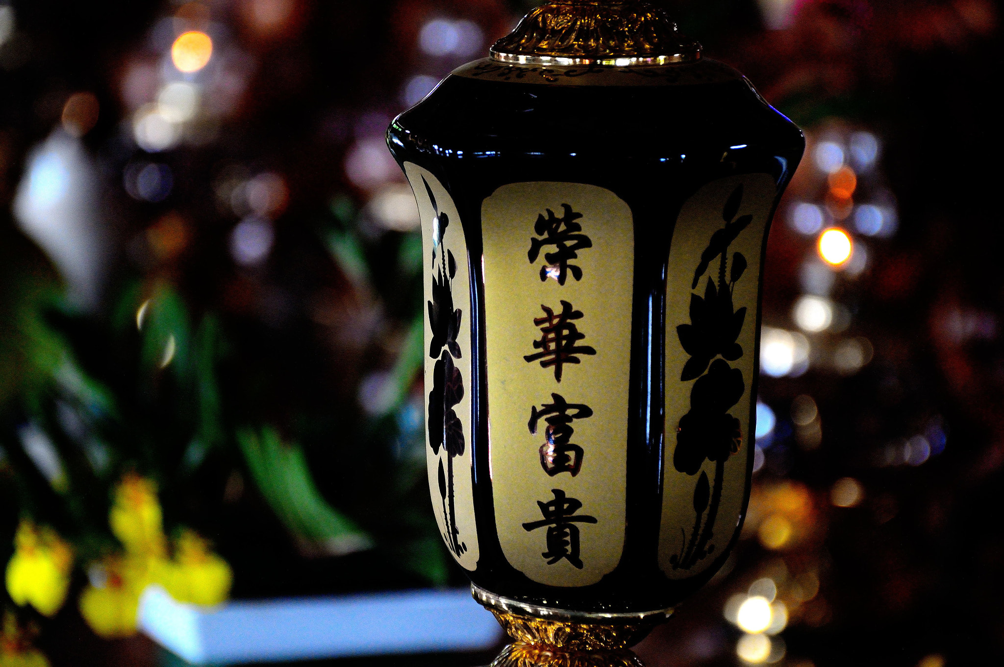 Nikon D3200 sample photo