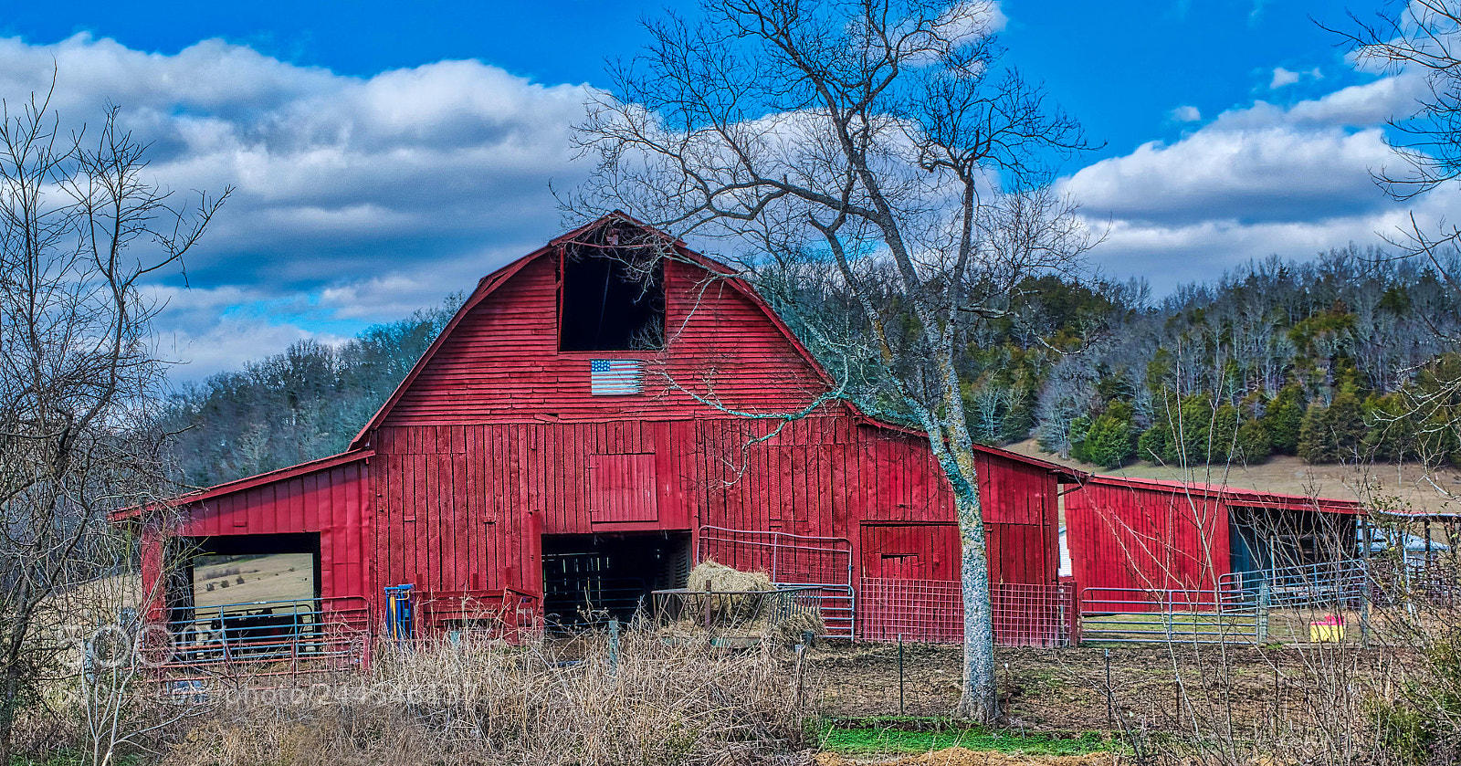 Nikon D5500 sample photo. Red barns photography