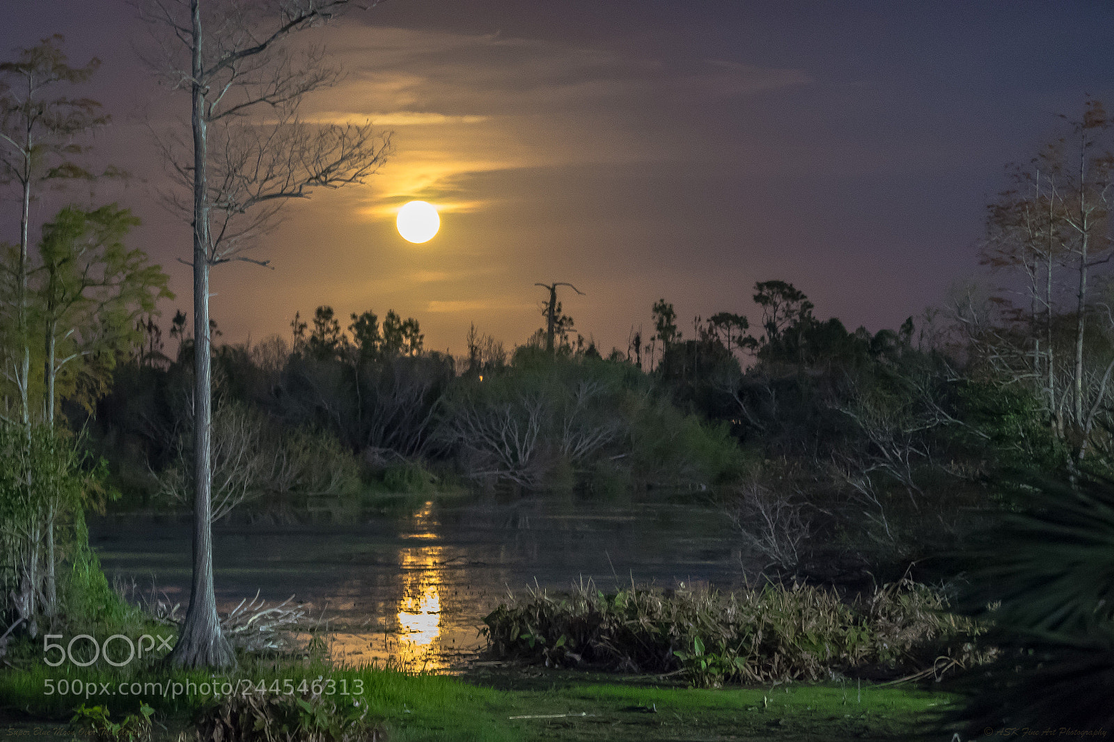 Sony a7 sample photo. Super blue moon photography