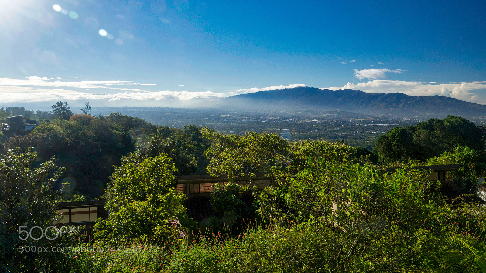 Olympus OM-D E-M10 sample photo. Central valley photography